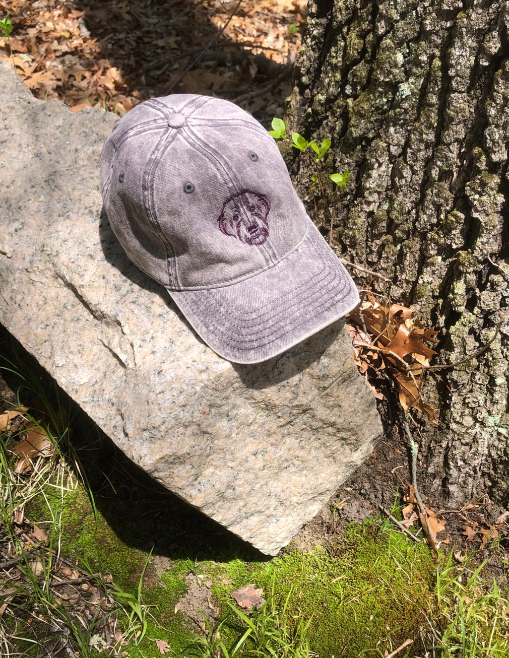 The Foundation Cap