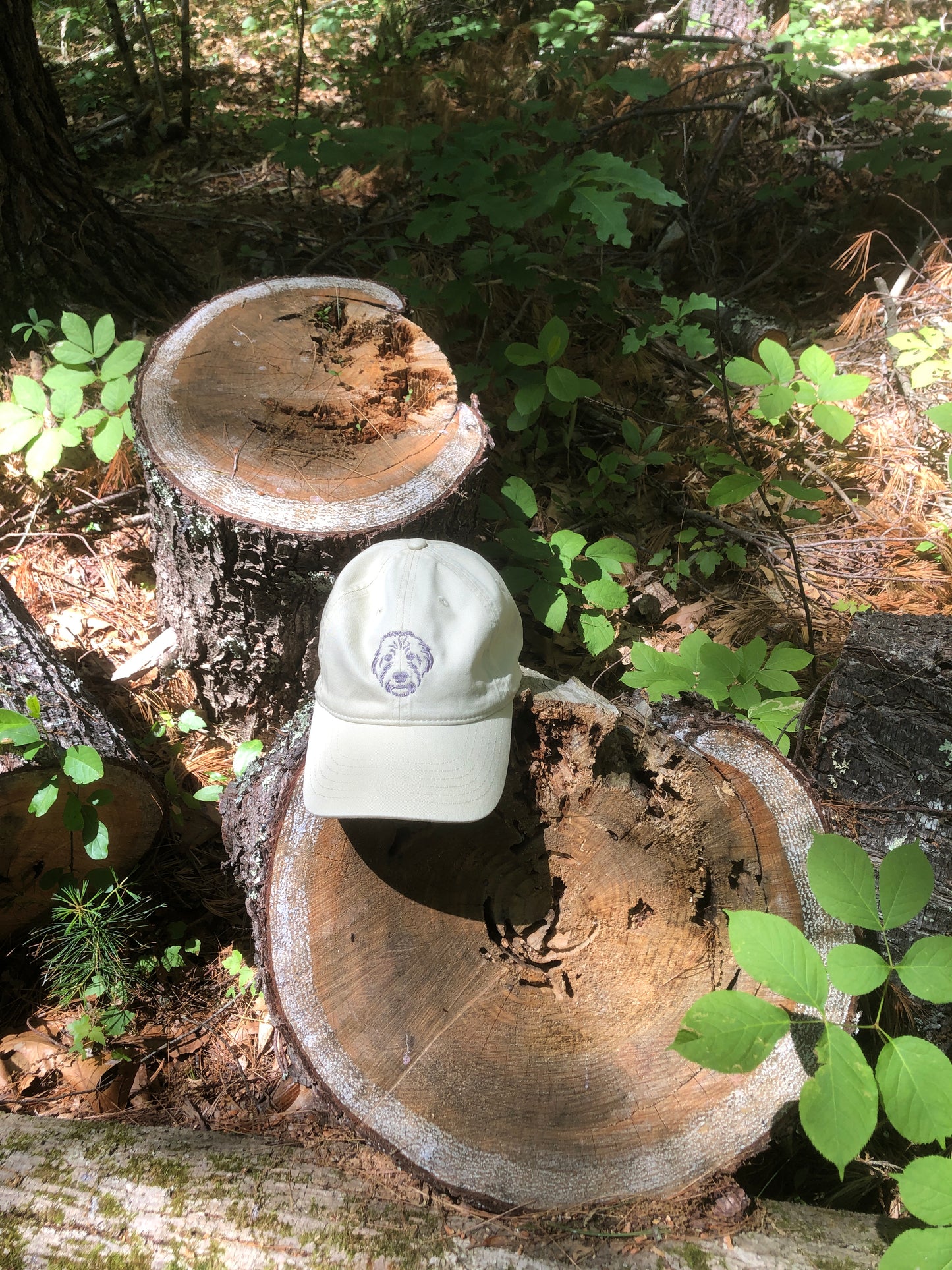 The Foundation Cap