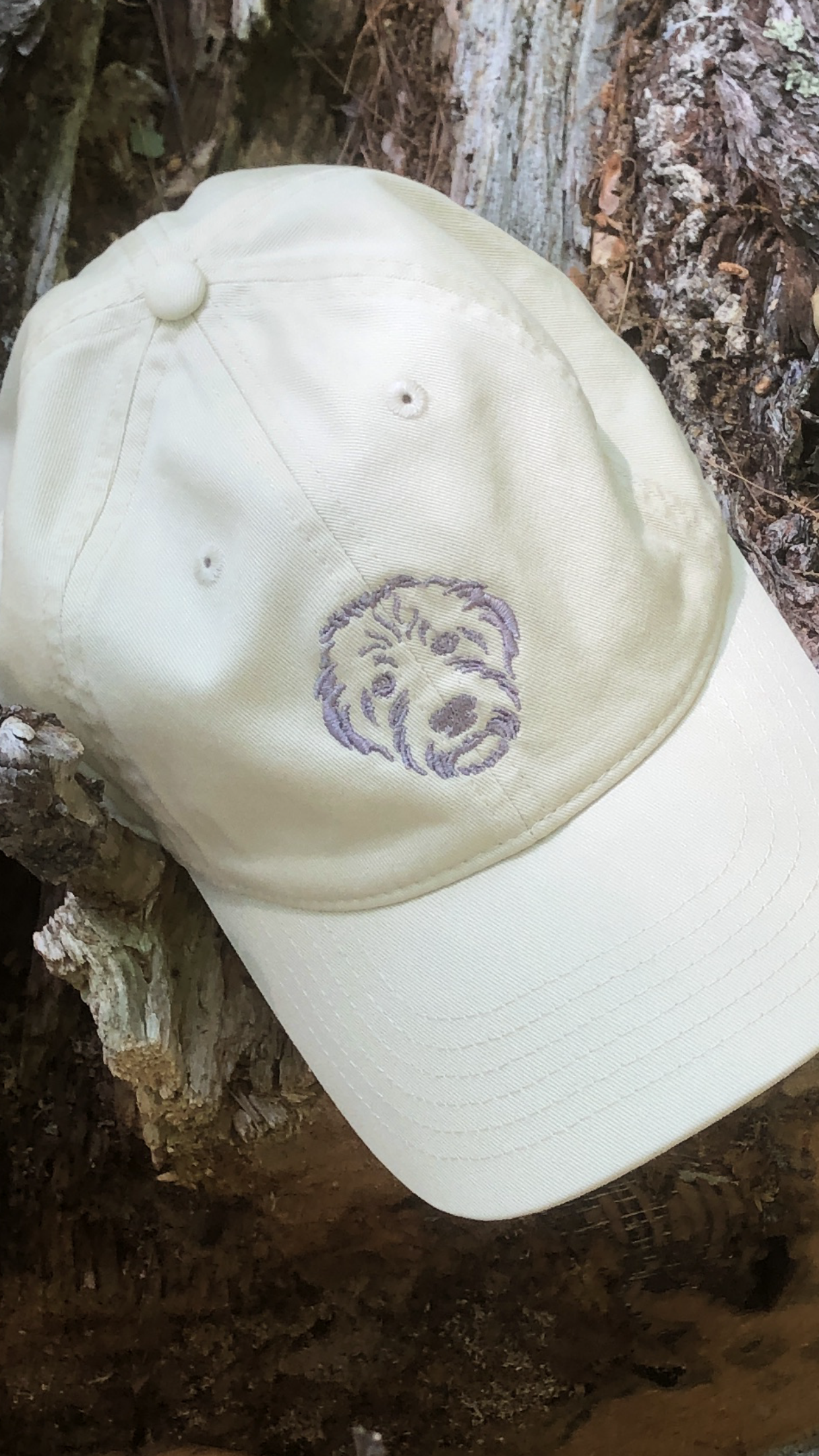 The Foundation Cap