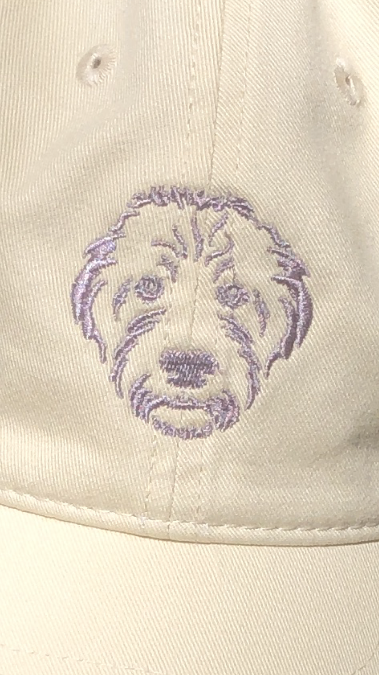 The Foundation Cap